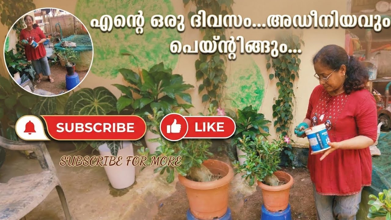 അഡീനിയംപോട്ട്  പെയ്ന്റിങും ഇത്തിരി വർത്താനവും❤️🥰