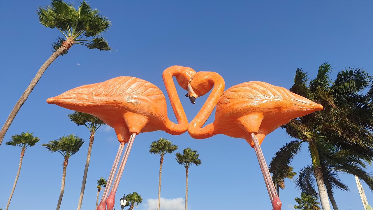 ARUBA NAJAAR 2025