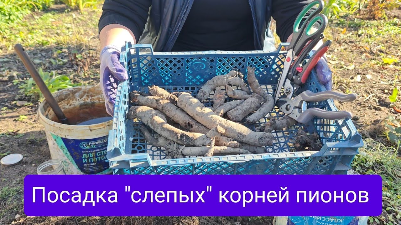 Правила посадки 