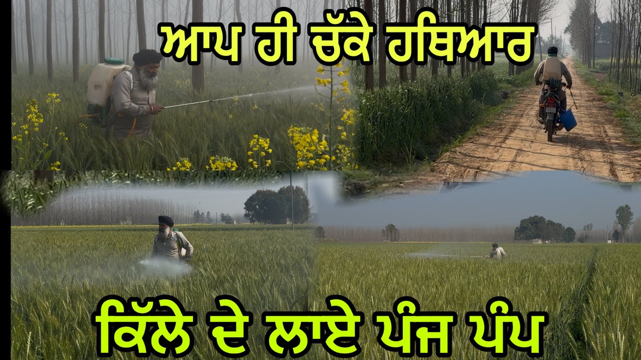 ਬਈਏ ਨੇ ਦਿੱਤਾ ਜਵਾਬ ਆਪ ਹੀ ਚੱਕੇ ਹਥਿਆਰ//ਕਣਕ ਪਰ ਕਰਤੀ ਤੇਲੇ ਦੀ ਸਪਰੇ@jagatmasad 