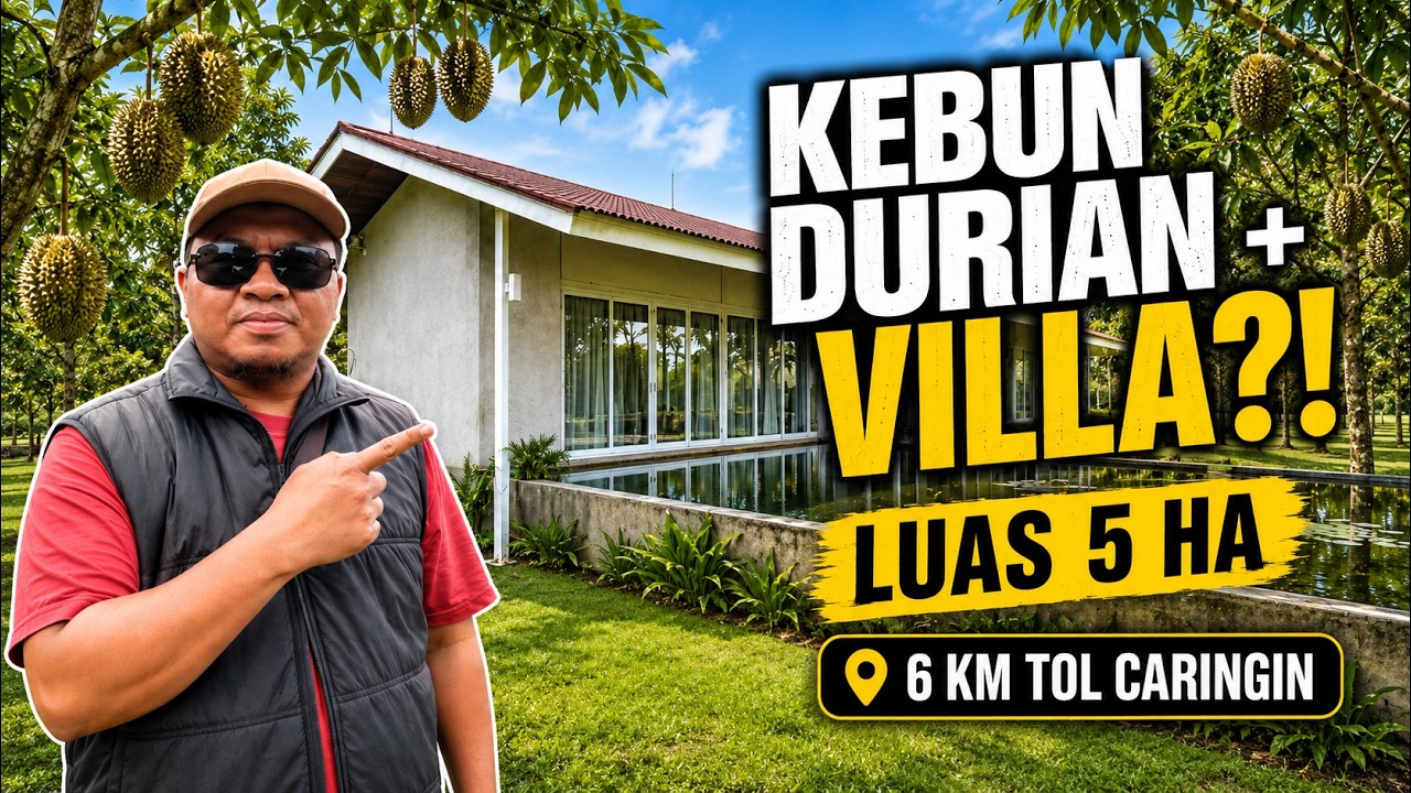 Jarang Ada! Kebun Durian 5 Ha SHM 6 Km Tol Caringin Bogor – Harga 500 Ribu/m²