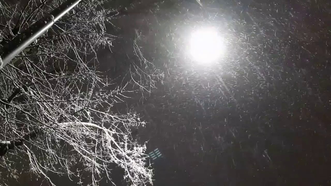 Neve a Udine - 28 dicembre 2020