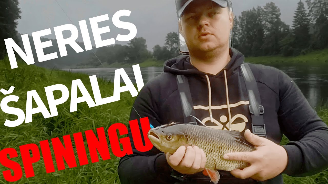 Lietaus šapalai arba Neryje su spiningu vasarą
