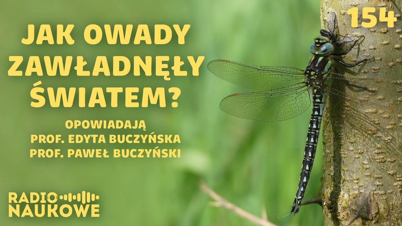 Owady - osobliwi przybysze z prawiecznych czas&oacute;w | prof. Edyta Buczyńska, prof. Paweł Buczyński