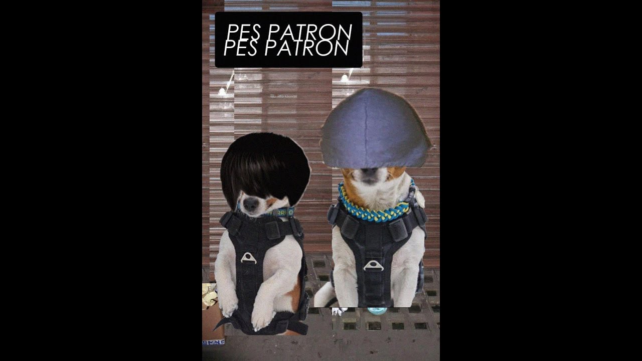 пес патрон + crystal castles - untrust us (mashup)