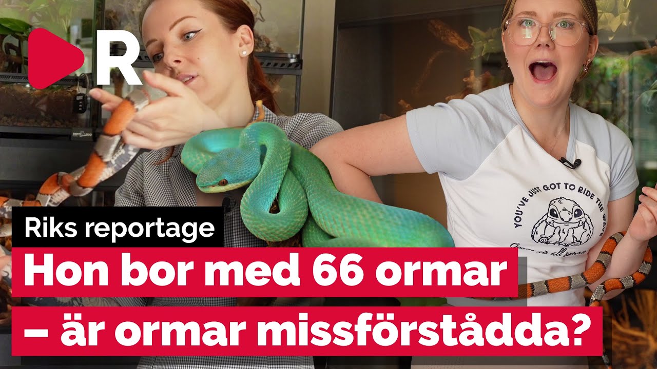 Jennipher bor med 66 ormar – 