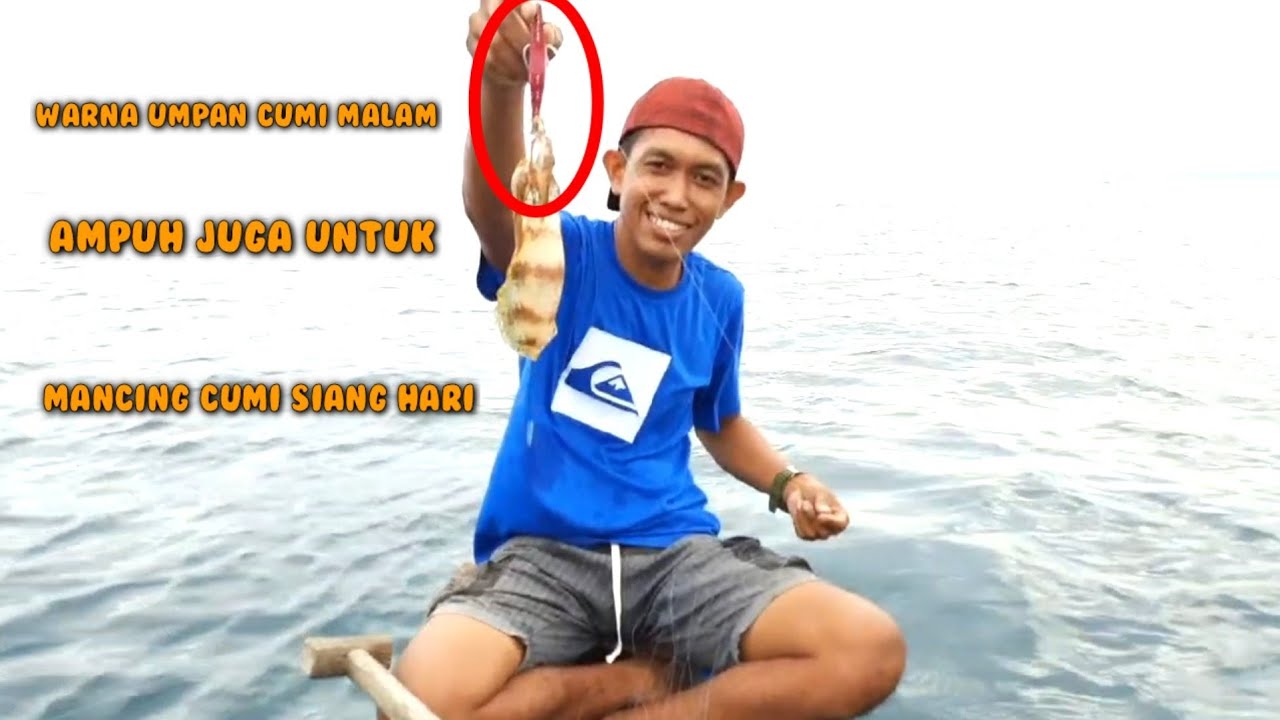 Mancing Cumi Siang Hari | Warna Umpan Cumi Untuk Siang-Angler Cumi