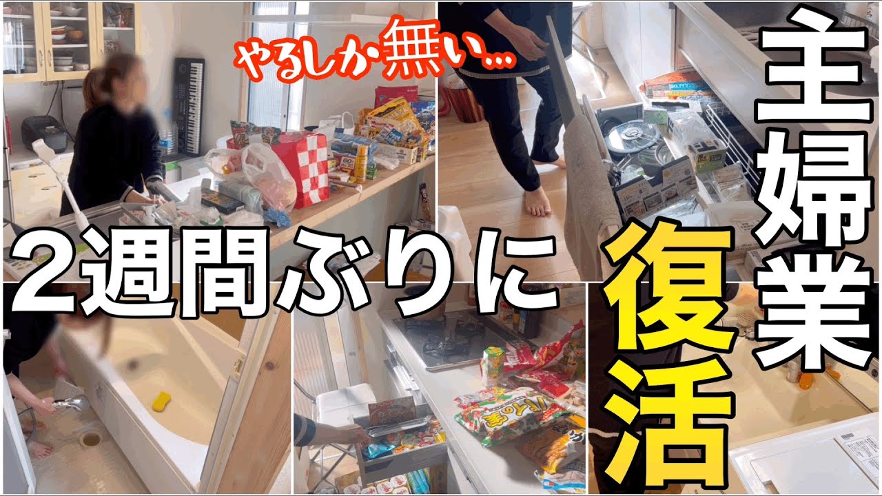 【連休明け直前】体力限界まで収納しまくる【主婦/お家リセット】