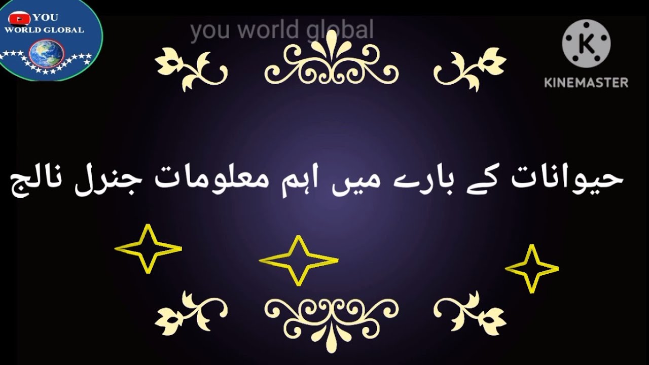 Important Information About Animals General Knowledge | حیوانات کے بارے میں اہم معلومات