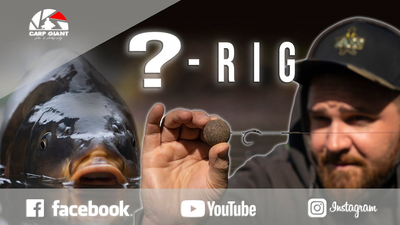 A LEGJOBB  horogelőke?