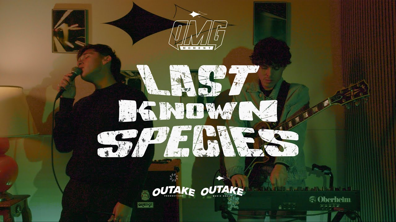 YDFLMA - Last Known Species