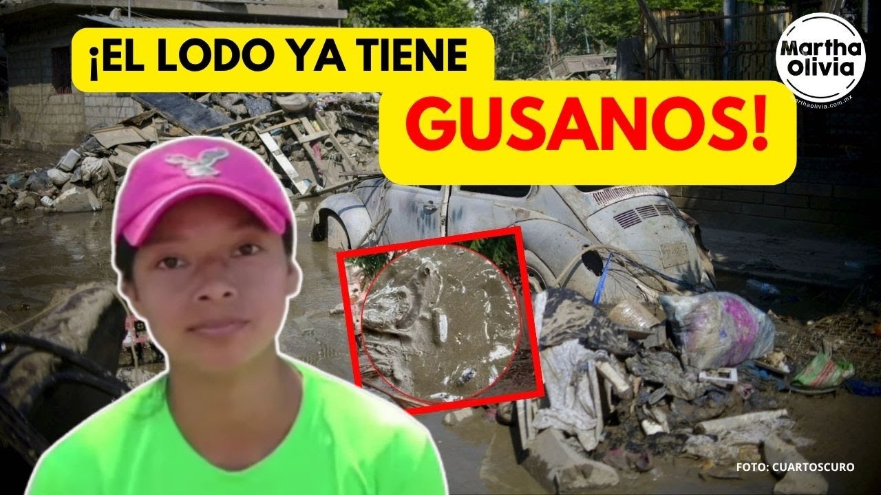 El otro desastre de las inundaciones en POZA RICA: lodo, GUSANOS y enfermedades