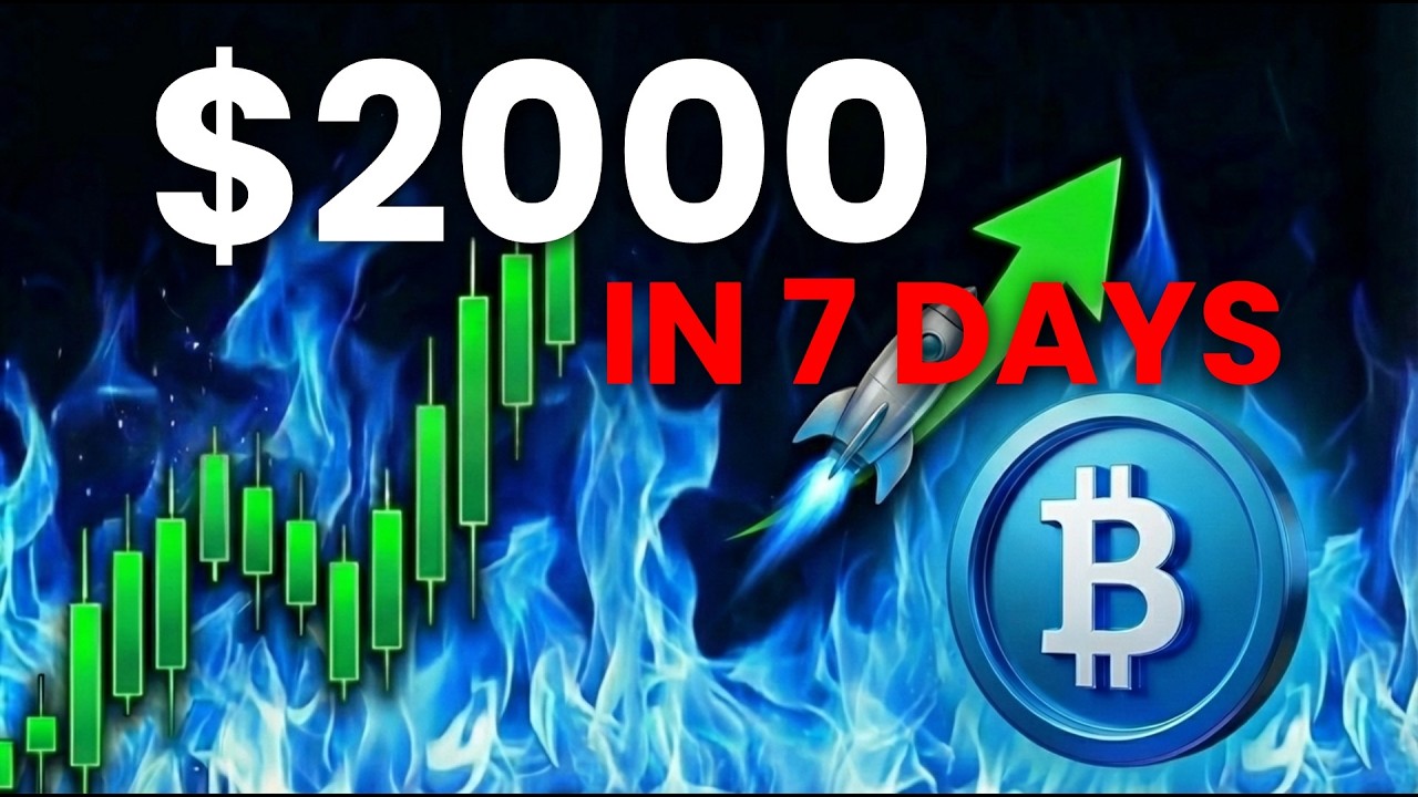 I Made $2000 in SEVEN DAYS with Bitget Copy Trading Platform (VERY GOOD TRADER TO FOLLOW)