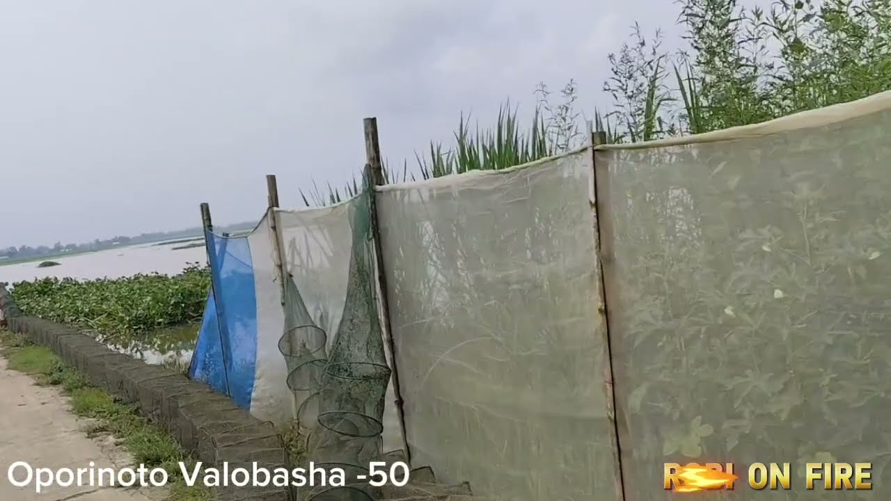 Part-50) Oporinoto Valobasha। 