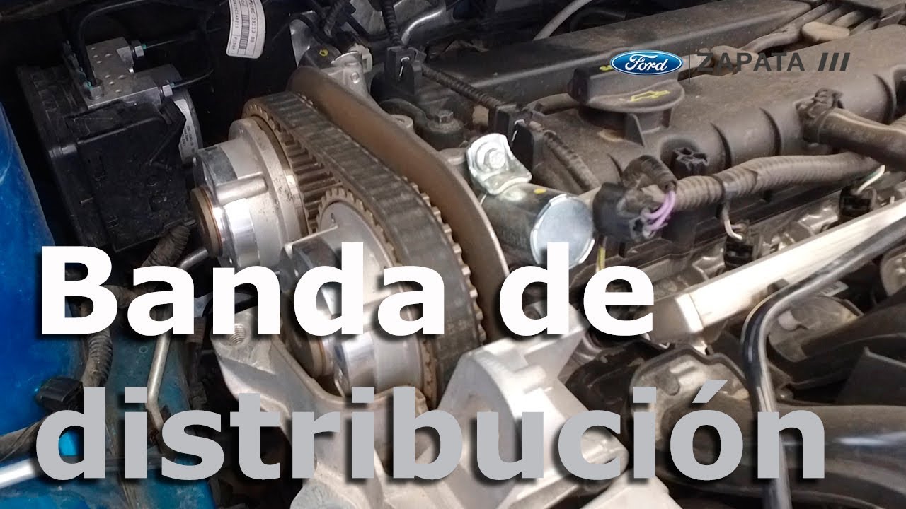 Puesta a punto las barras de levas y la banda de distribución para rodeo V6..3.2 Y 3.5