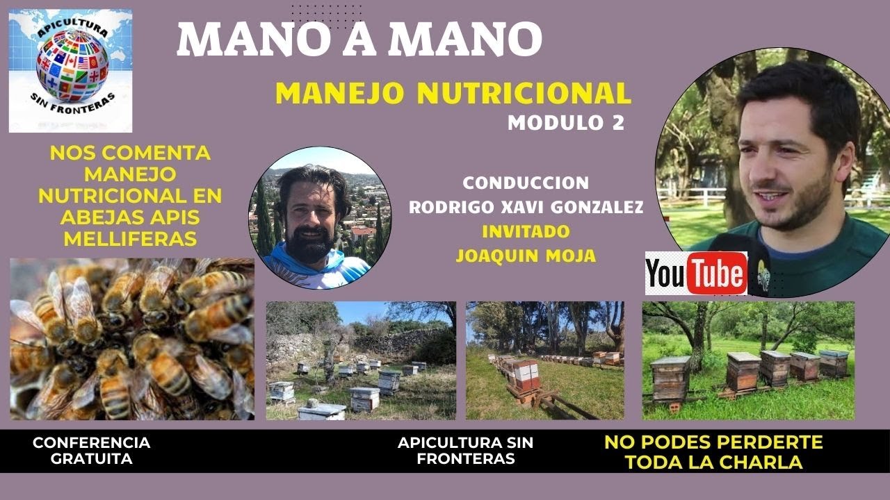 Nutrición de las Abejas - Ultimas Investigaciones y Manejos en la Apicultura Moderna