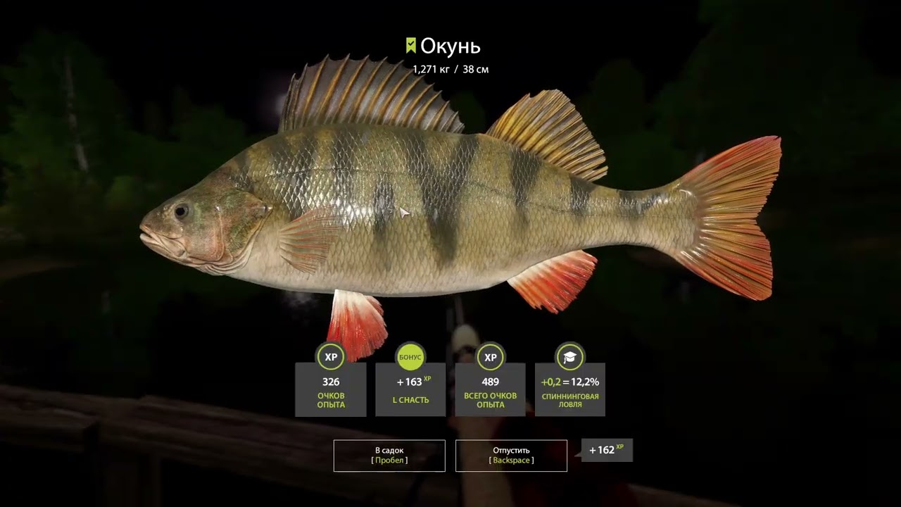 NIGHT FISHING 4K