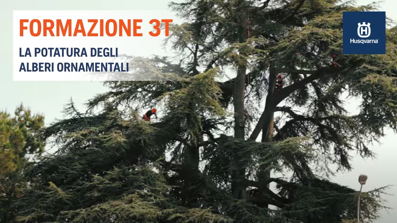 Husqvarna e Formazione 3t - La Potatura degli Alberi Ornamentali -