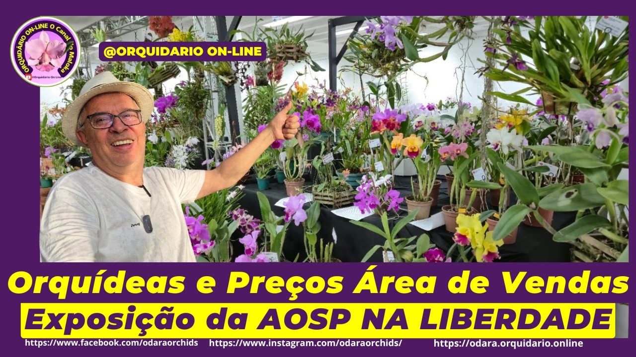 Área de Vendas Exposição de Orquídeas AOSP Liberdade! Veja plantas e preços que encontrei por lá!