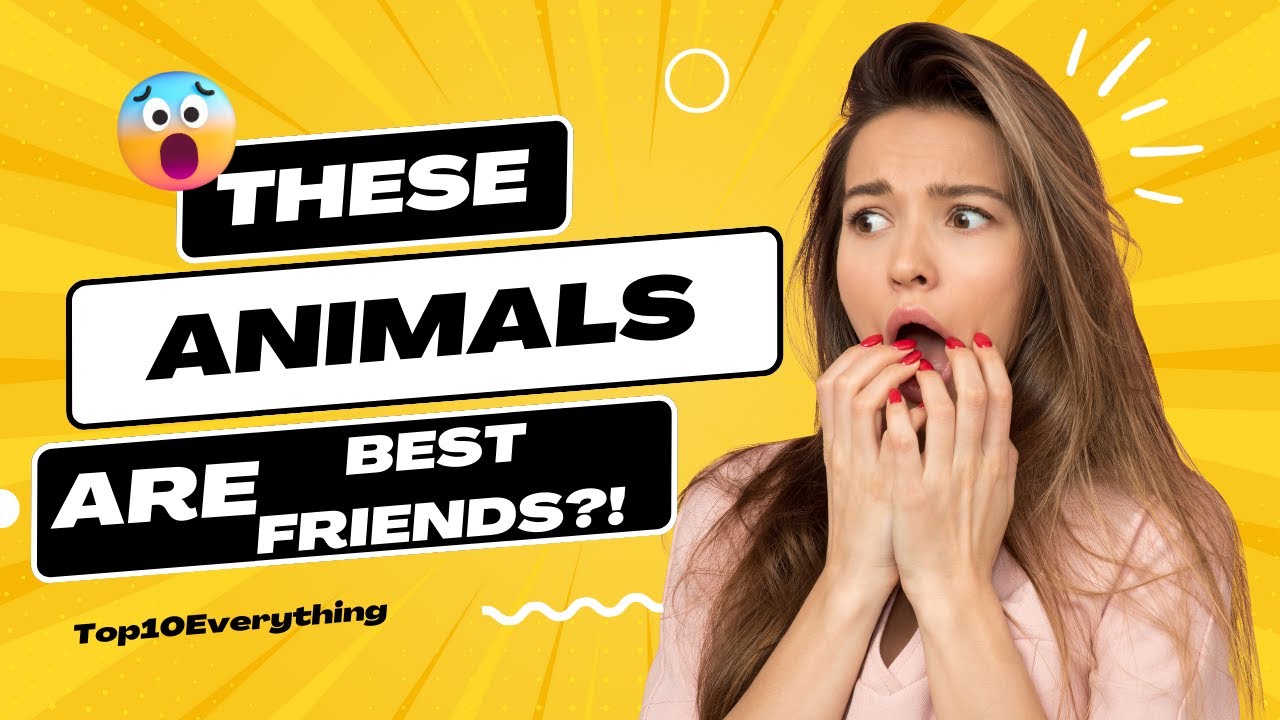 Unforgettable Bonds: Top 10 Heartwarming Unlikely Animal Friendships That Will Melt Your Heart