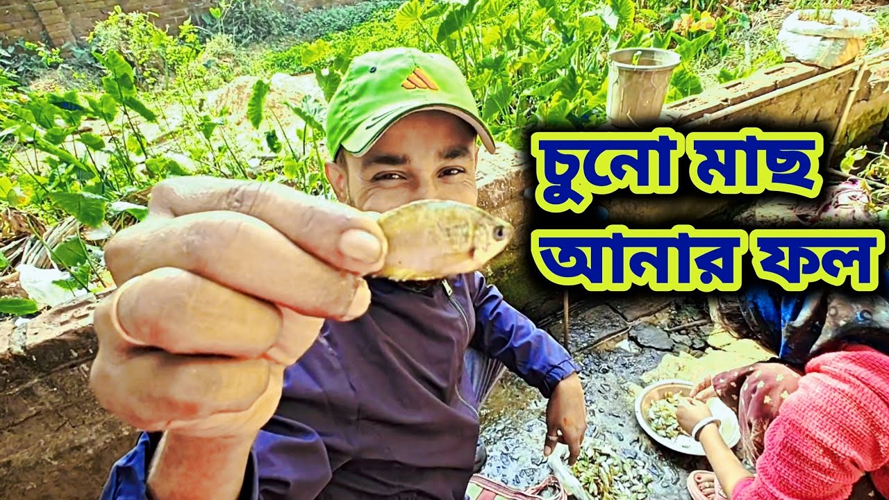 আজ আনলাম চুনো মাছ 🐟 | family vlog 