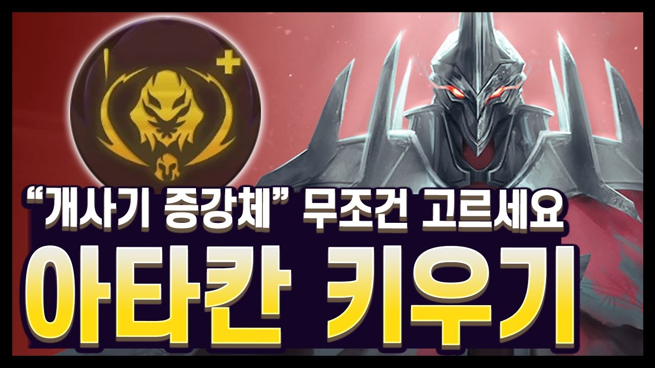 【롤토체스 강의】디렉터가 직접 밝힌 