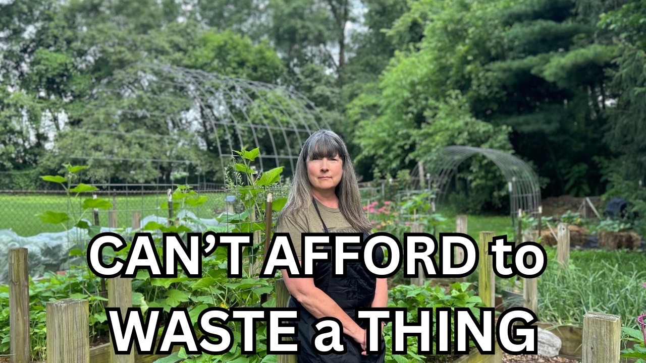 WE CAN'T AFFORD TO WASTE A THING! / Frugal Living in the Garden and Kitchen