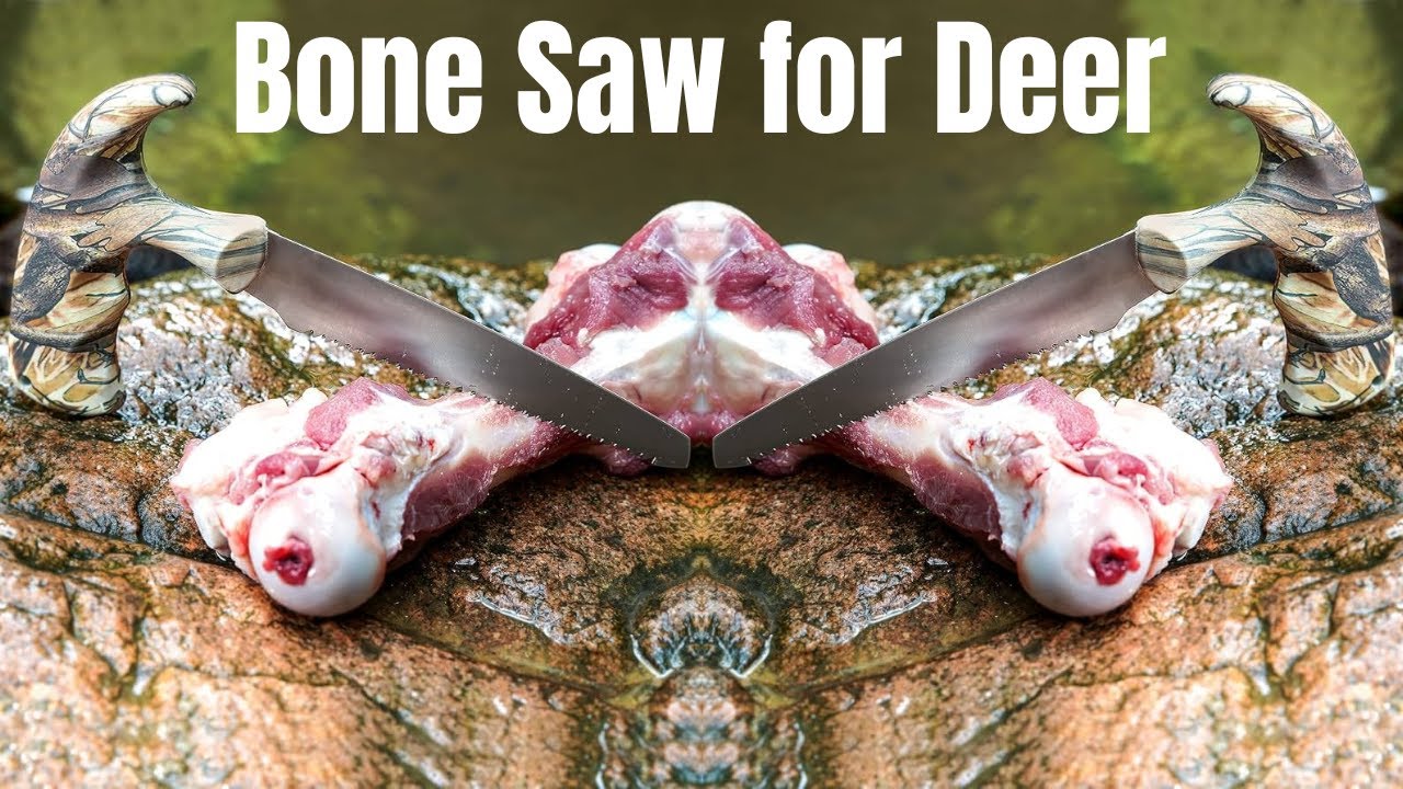 Best Bone Saw for Deer &ndash; Essential Tool for Hunters!