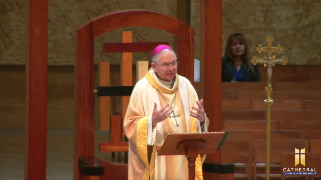 Homily: Solemnity of the Assumption of the Blessed Virgin Mary