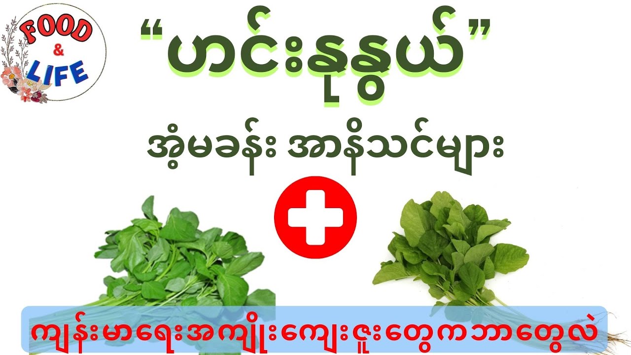 ဟင်းနုနွယ် - အံ့မခန်းအာနိသင်များ၊ ကျန်းမာရေး အကျိုးကျေးဇူးများ