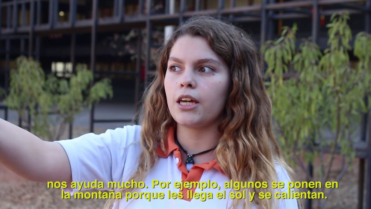 Así es la experiencia de aprendizaje que se vive en el patio del Colegio Ayelén