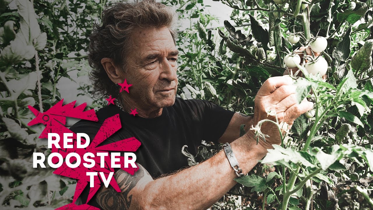 Peter Maffay - Hier und Jetzt | Mein Bild von einer besseren Zukunft