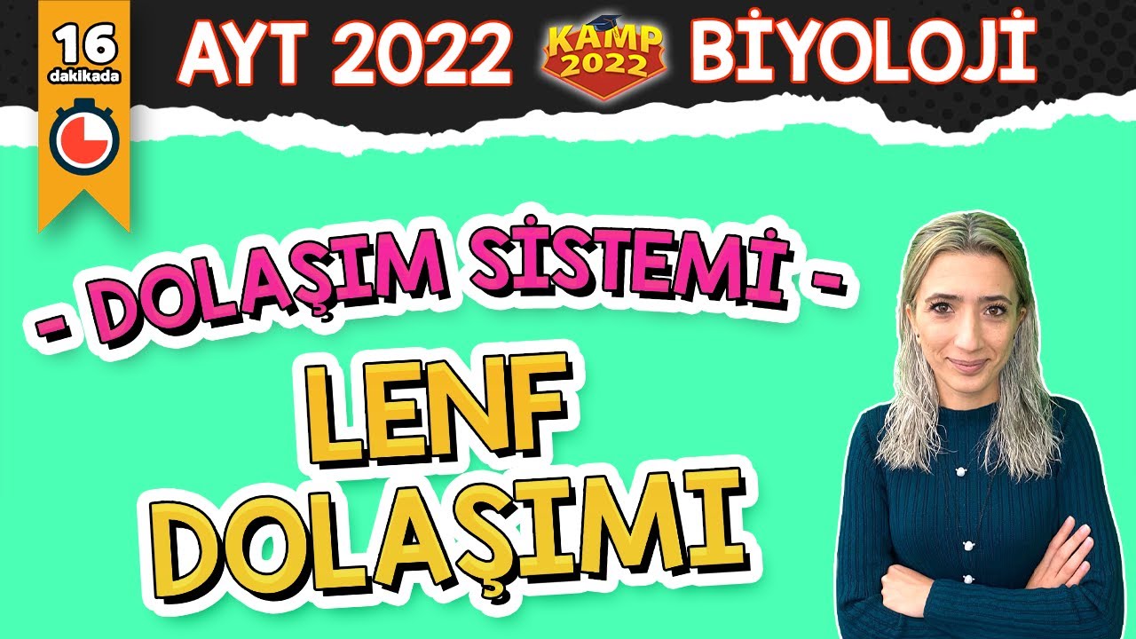 Lenf Dolaşımı | AYT Biyoloji #Kamp2022