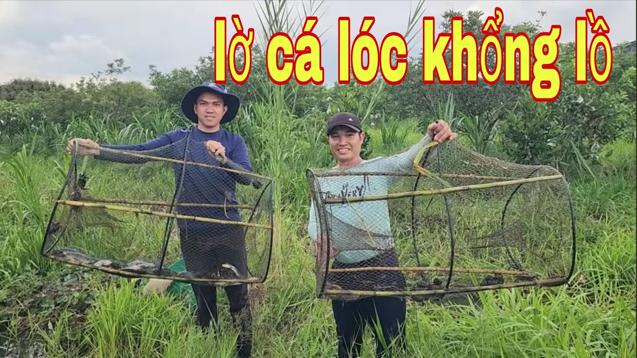 Thăm Lờ Cá Lóc , 2 Cái Lờ Cá Lóc Khổng Lồ Làm Nên Sự Nghiệp # SĂN BẮT ĐỒNG THÁP #