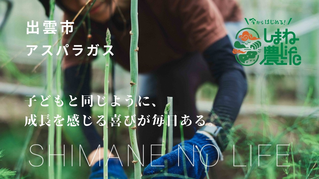 島根で新規就農～アスパラガス（出雲市）～