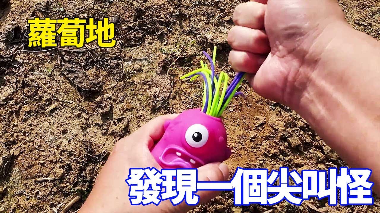 蘿蔔田裡發現一個獨眼玩具，拉它頭髮還會尖叫，這也太好玩了！ ！ 【野王大坤戶外】