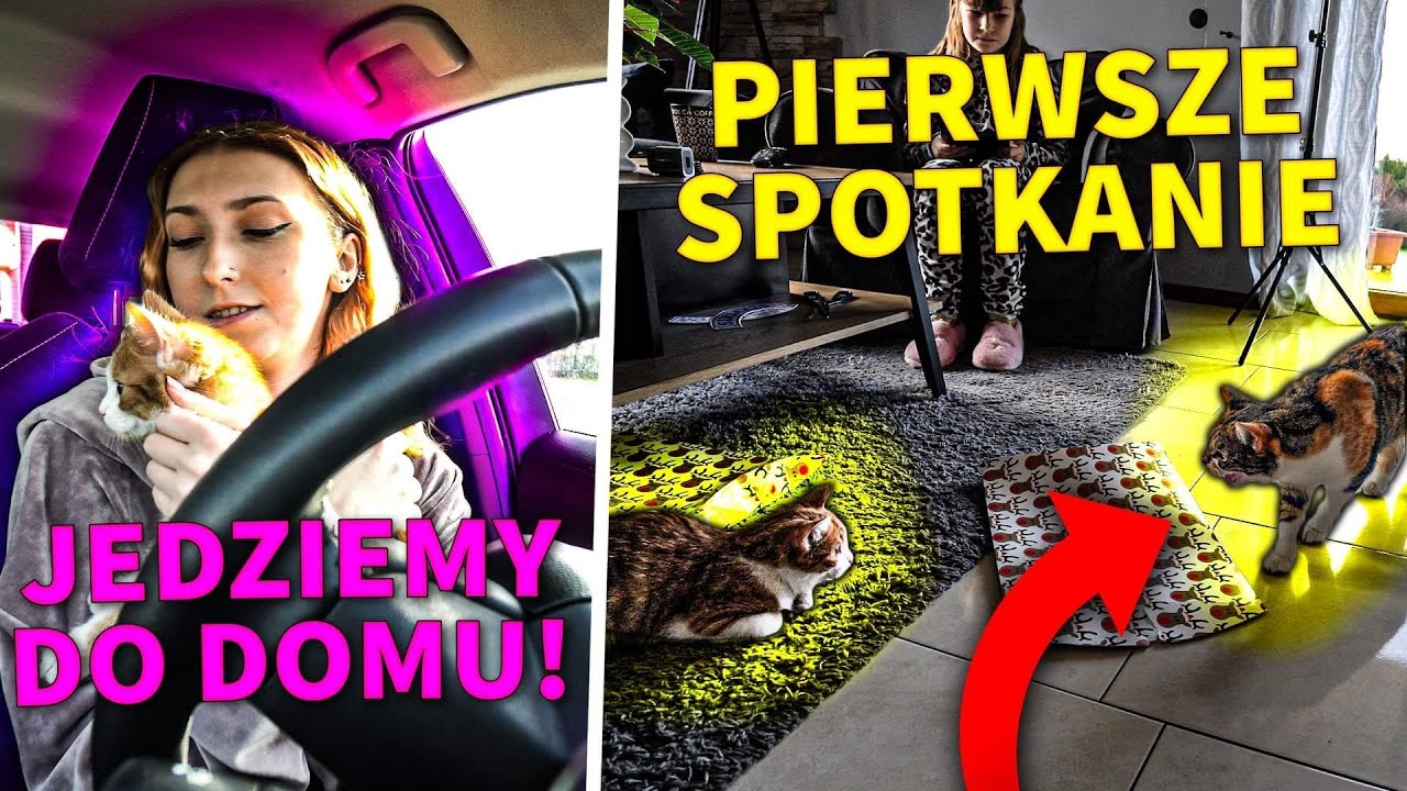 PIERWSZA PODRÓŻ MOJEGO KOTA!