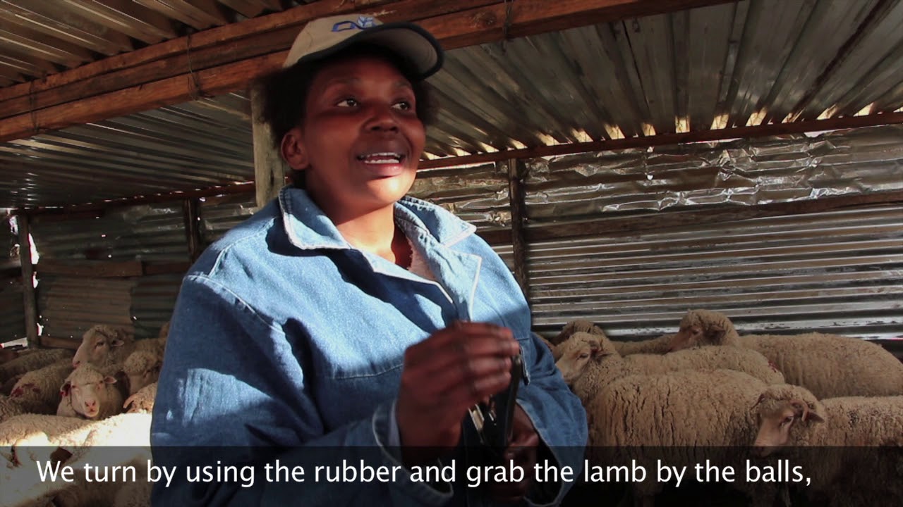 Young Woman in Farming