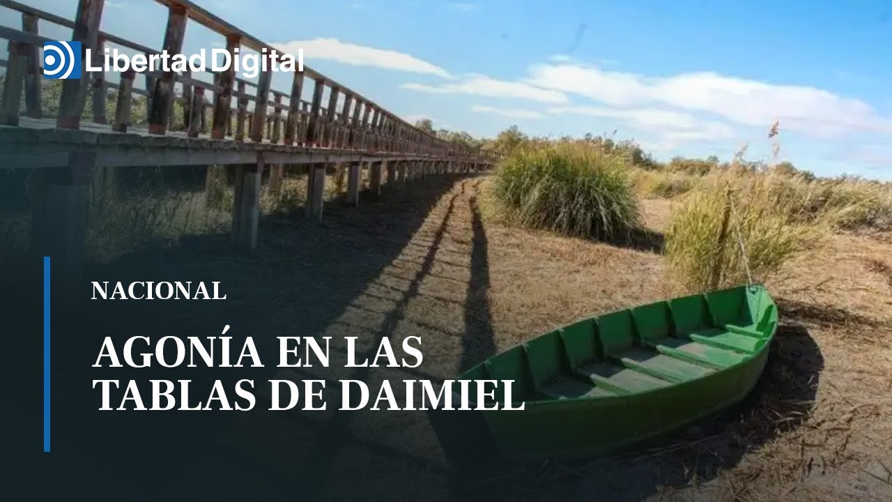 La agon&iacute;a del Parque Nacional de las Tablas de Daimiel