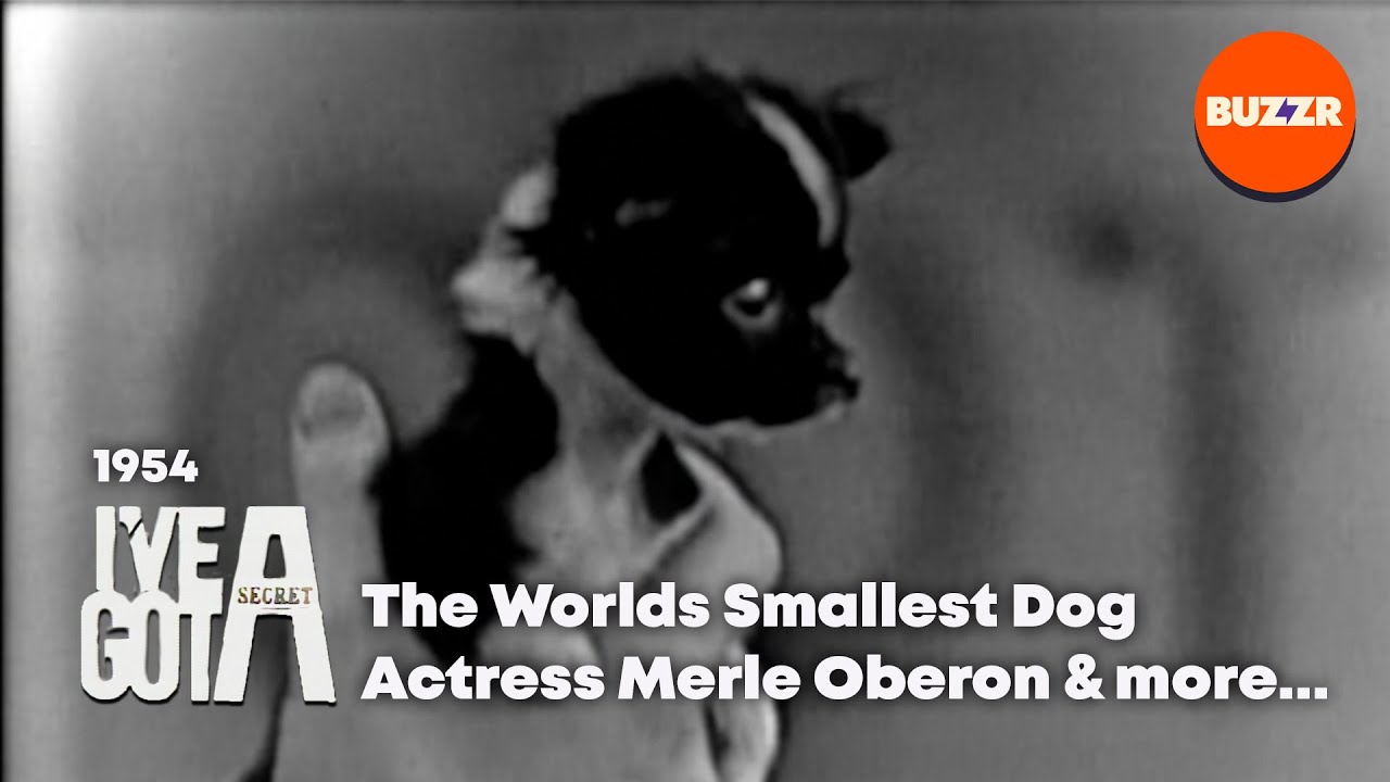I've Got a Secret | Feb 3rd, 1954 | Garry Moore | Special Guest Merle Oberon | BUZZR