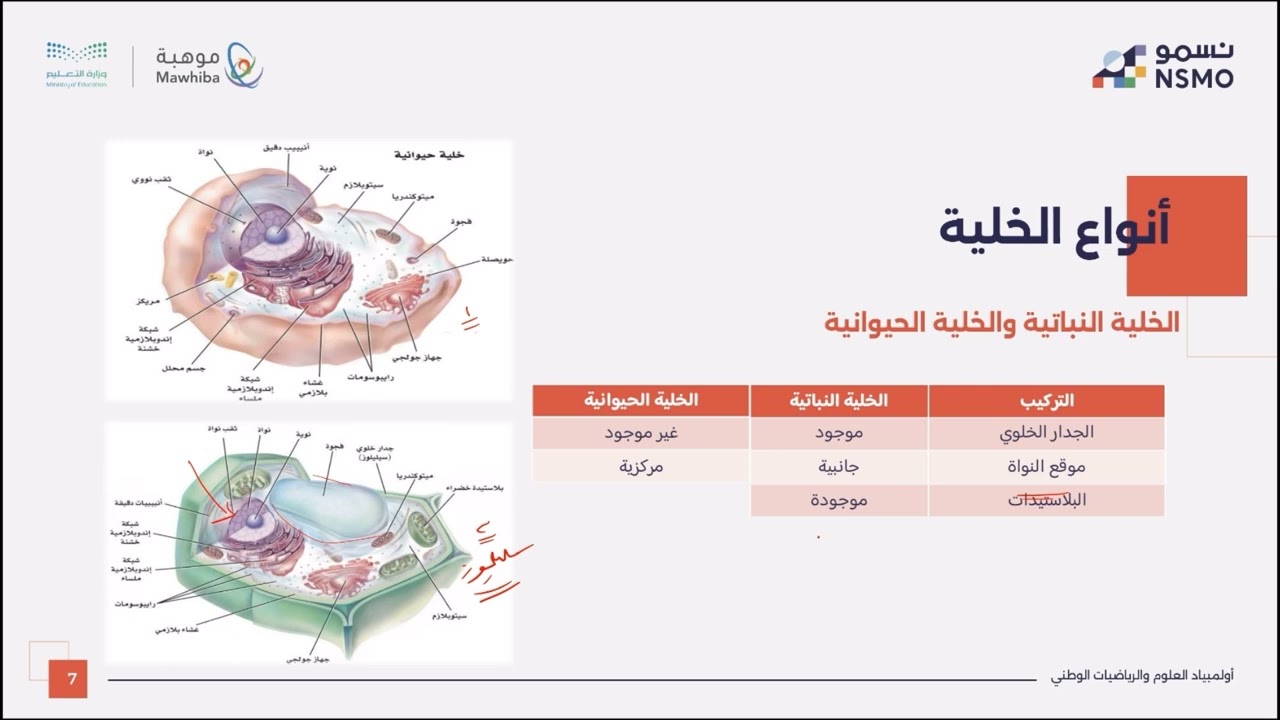 أولمبياد نسمو -تخصص الأحياء- الدرس الثاني نظرية الخلية وأنواع الخلايا