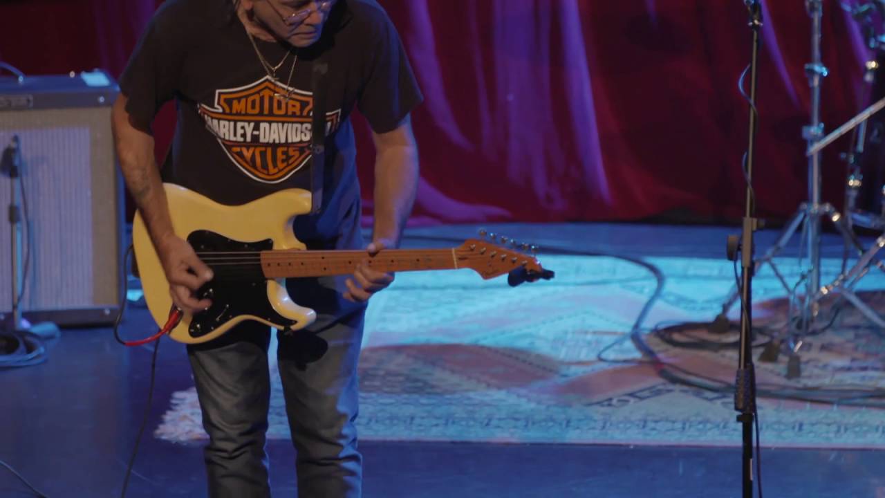 No Fixed Address - Pigs  'Live'