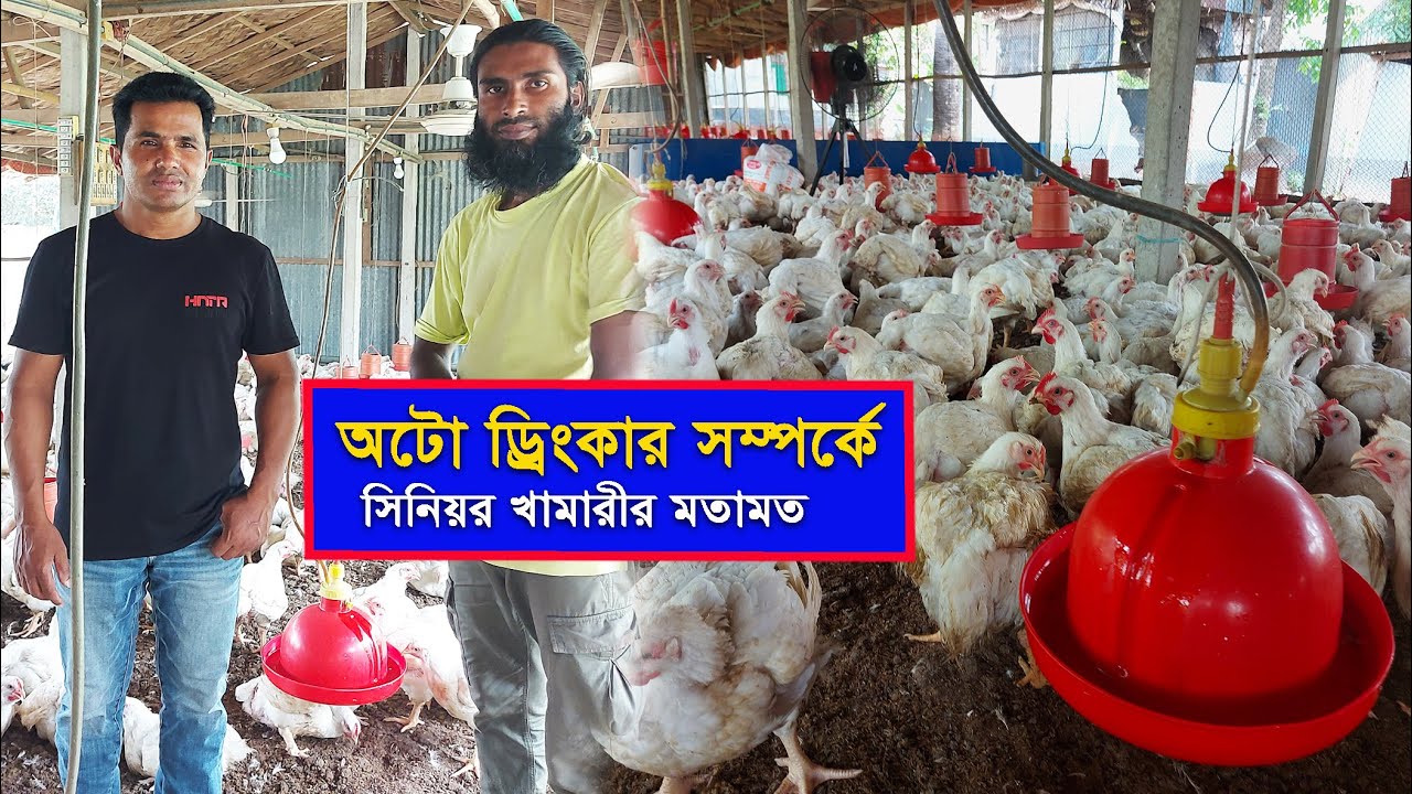 ২৫বছরের পুরোনো পোল্ট্রি খামারীর ৭বছর অটো ড্রিংকার ব্যবহারের অভিজ্ঞতা জেনে নিন || 01988883103