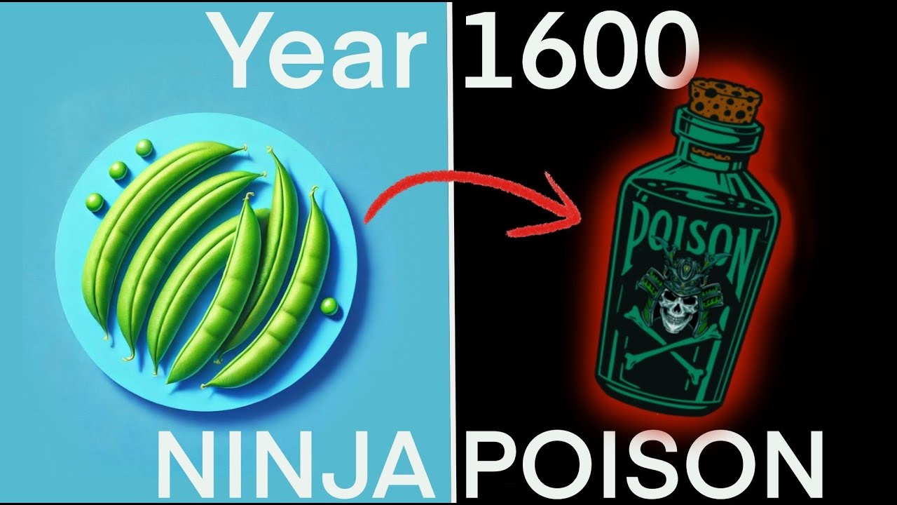 How to Make POISON Ninjas Used From WISTERIA Beans