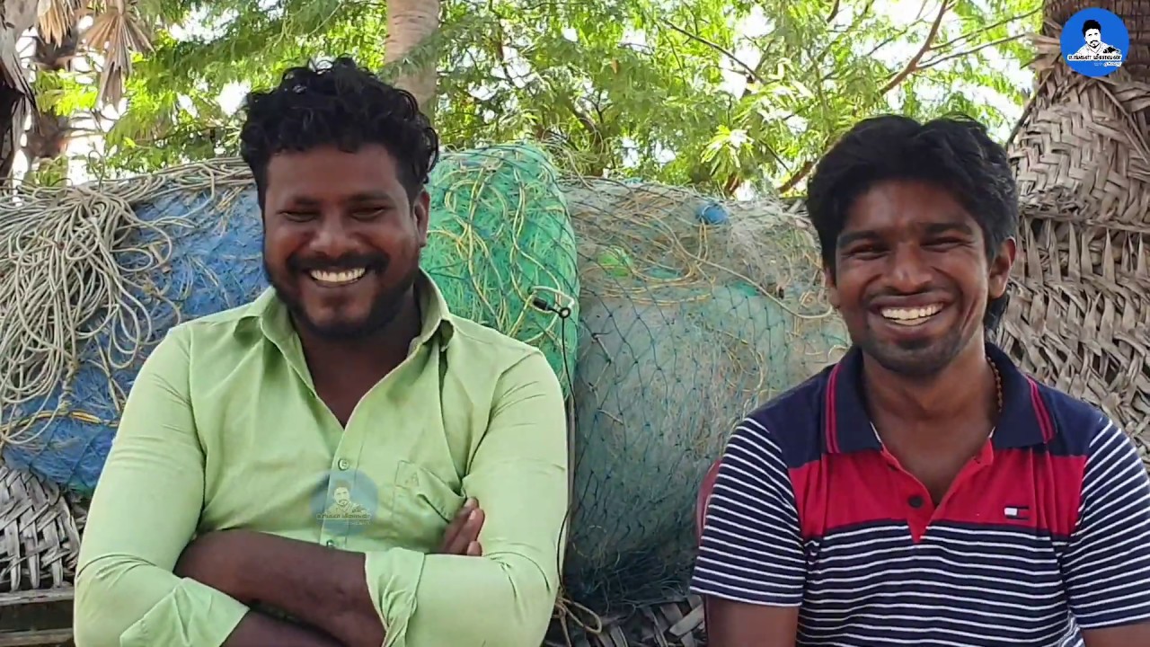 மத்தி மீனுக்கு எந்த இடம், சிறிய வகை மீன்களில் சுவைகளின் அடிப்படையில் முதல் பத்து | Top 10 fishes