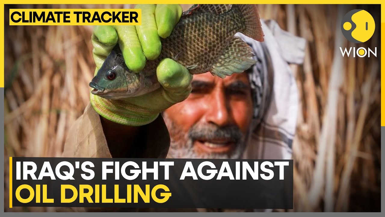 Oil Plans In Iraq's Marshes Spark Outcry | WION Climate Tracker