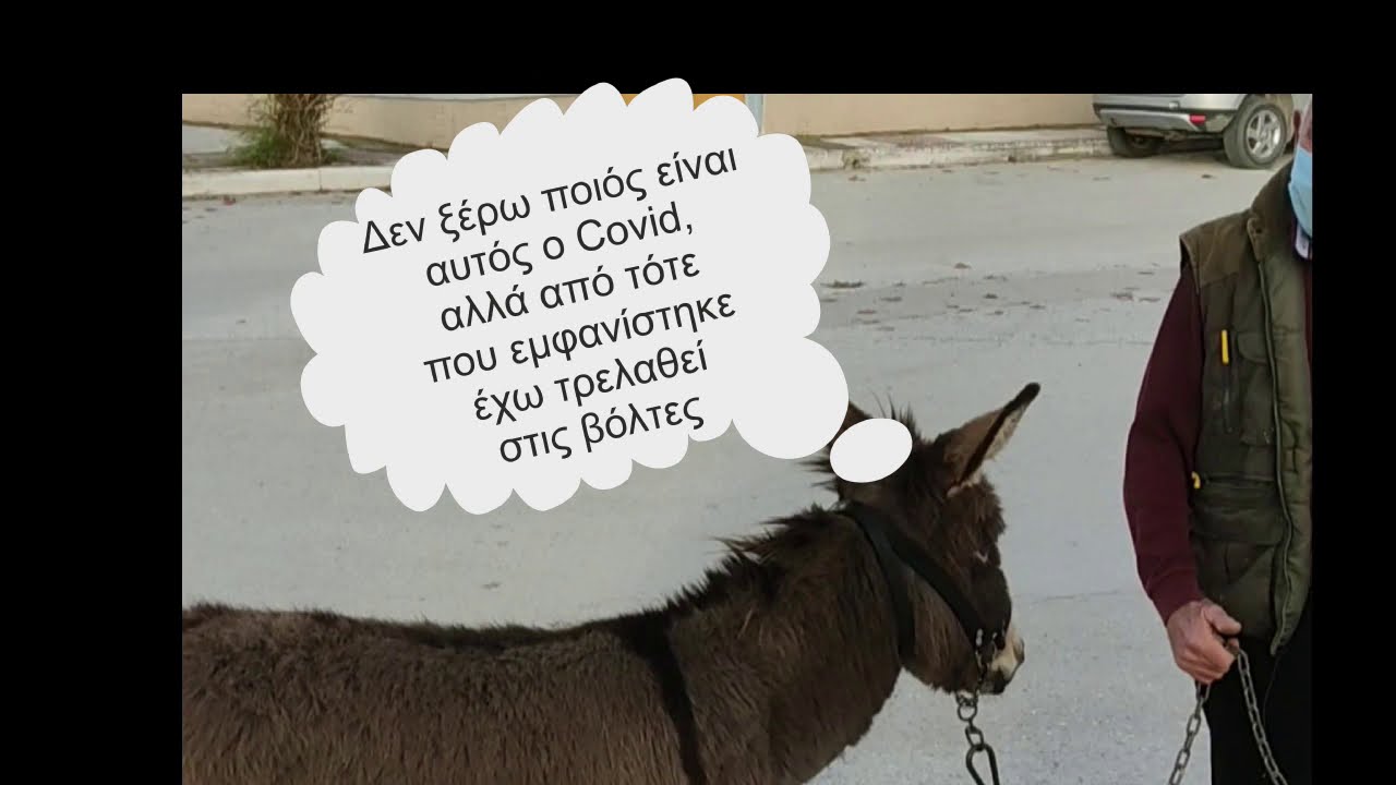 6 το τυχερό μου νούμερο