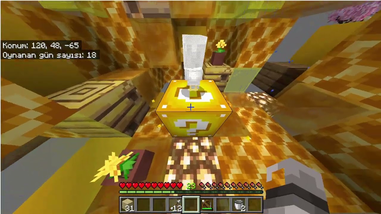 Minecraft ...