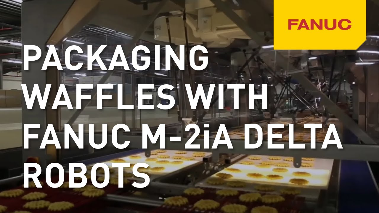 Packaging waffles  with FANUC M-2iA delta robots