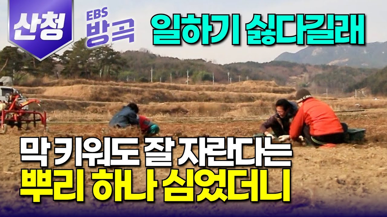 [경남 산청] 